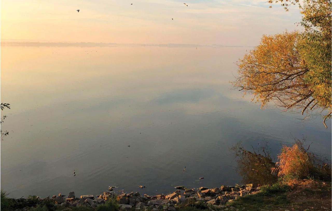 Nice Home In Lembruch-Duemmer See With Sauna المظهر الخارجي الصورة